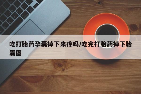 米非司酮片在线购买吃打胎药孕囊掉下来疼吗/吃完打胎药掉下胎囊图